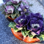 23-grabgestaltung-frankreich-grabbepflanzung-porzellanblumen